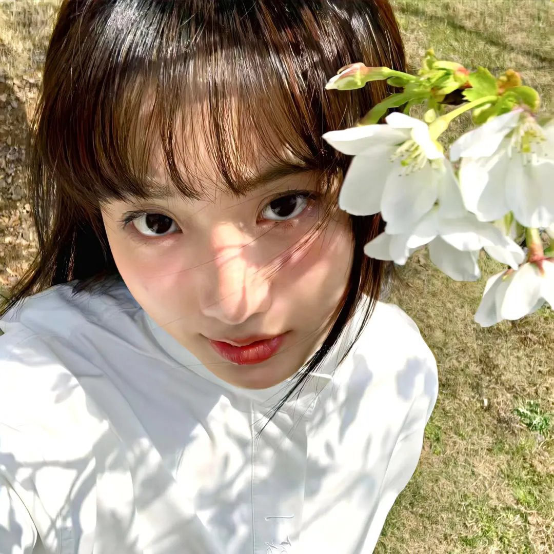 风吹半夏